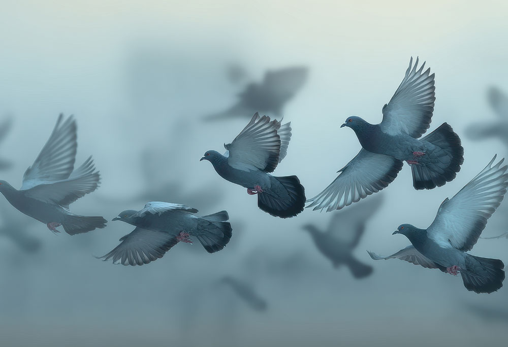 30 years of unwashed slabs